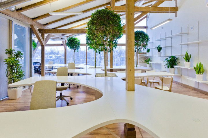 Small trees and floor plants installed in a commercial or office space