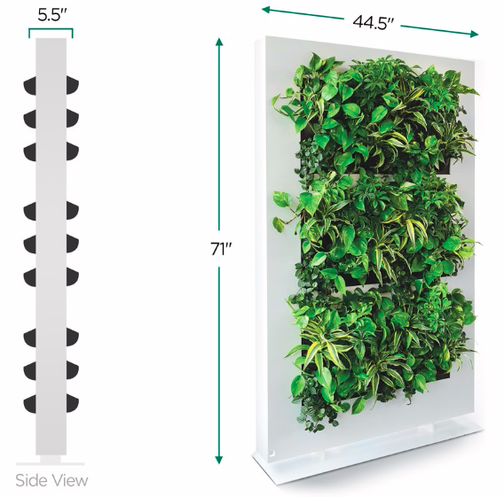 Diagram of living plant green divider