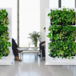 Living wall divider used for privacy in an office