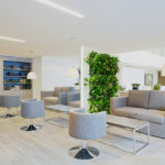 Living green divider installed in a residential space