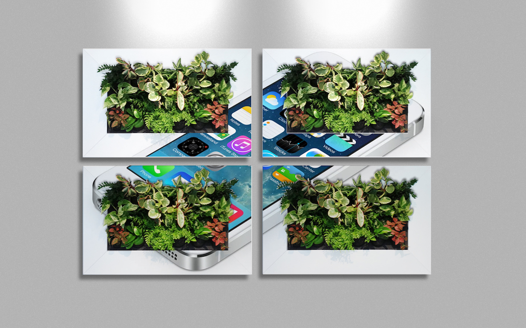 Sample living plant pictures in custom Apple iPhone frames