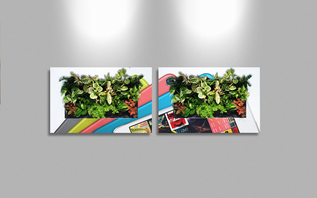 Sample living plant pictures in custom Apple frames