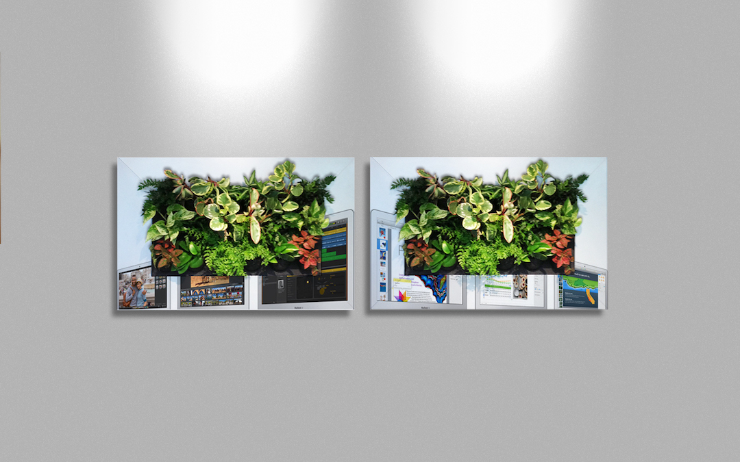 Sample living plant pictures in custom made Apple frames