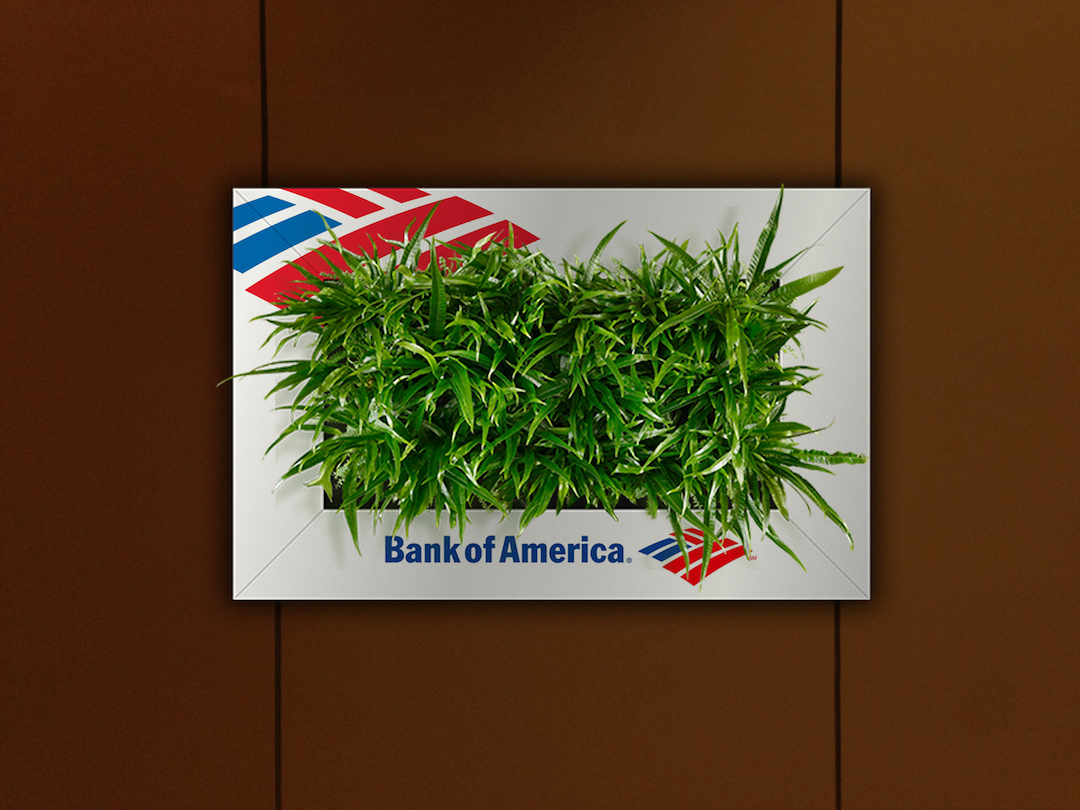 Sample living plant picture in a custom Bank of America frame