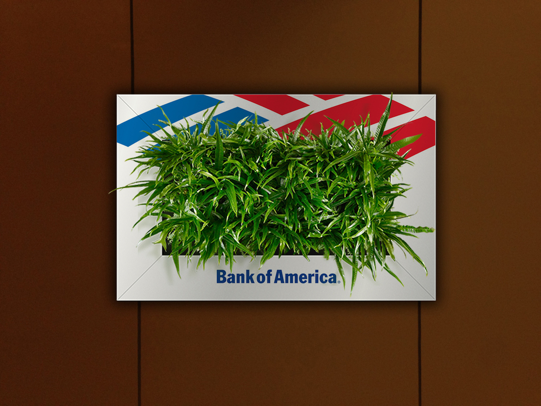 Sample living plant picture in a custom Bank of America frame