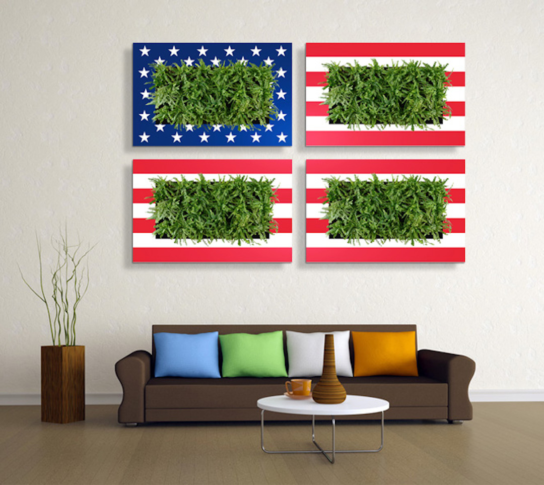 Sample living plant pictures in custom American flag frames