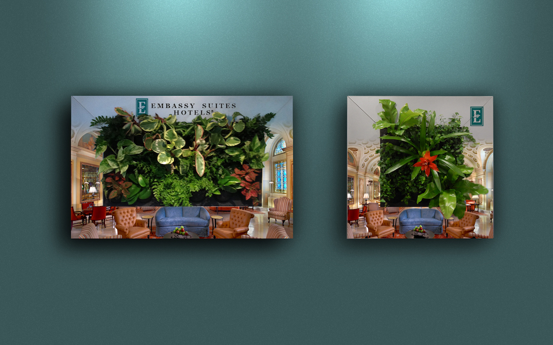 Sample living plant pictures in custom Embassy Suites frames
