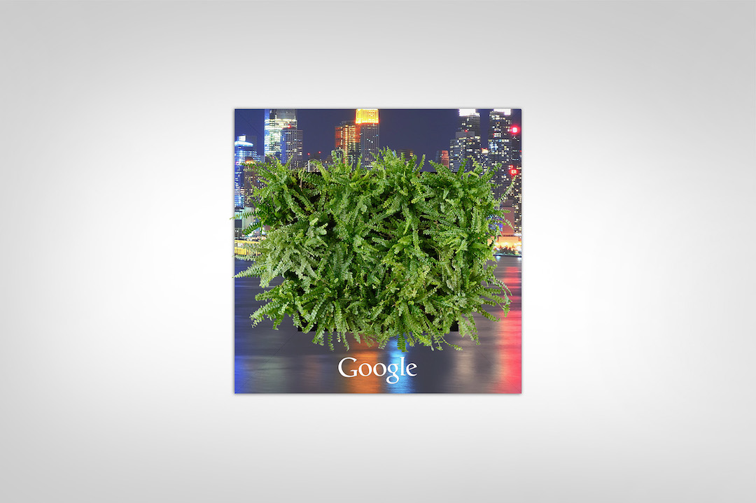 Sample living plant picture in a custom Google frame