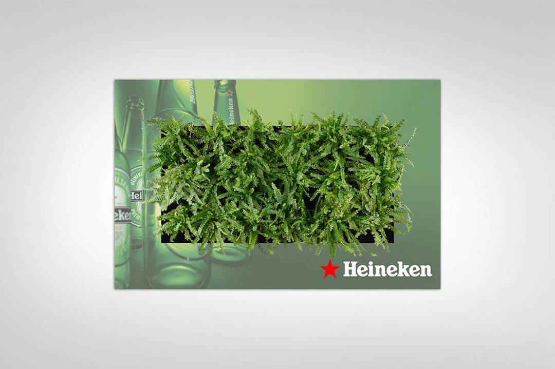 Sample living plant picture in a custom Heineken frame