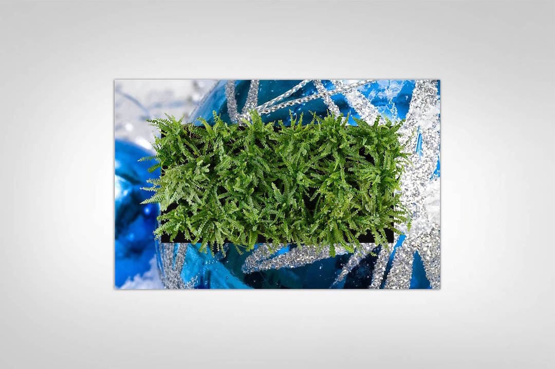 Sample living plant picture in a custom holiday ornament frame
