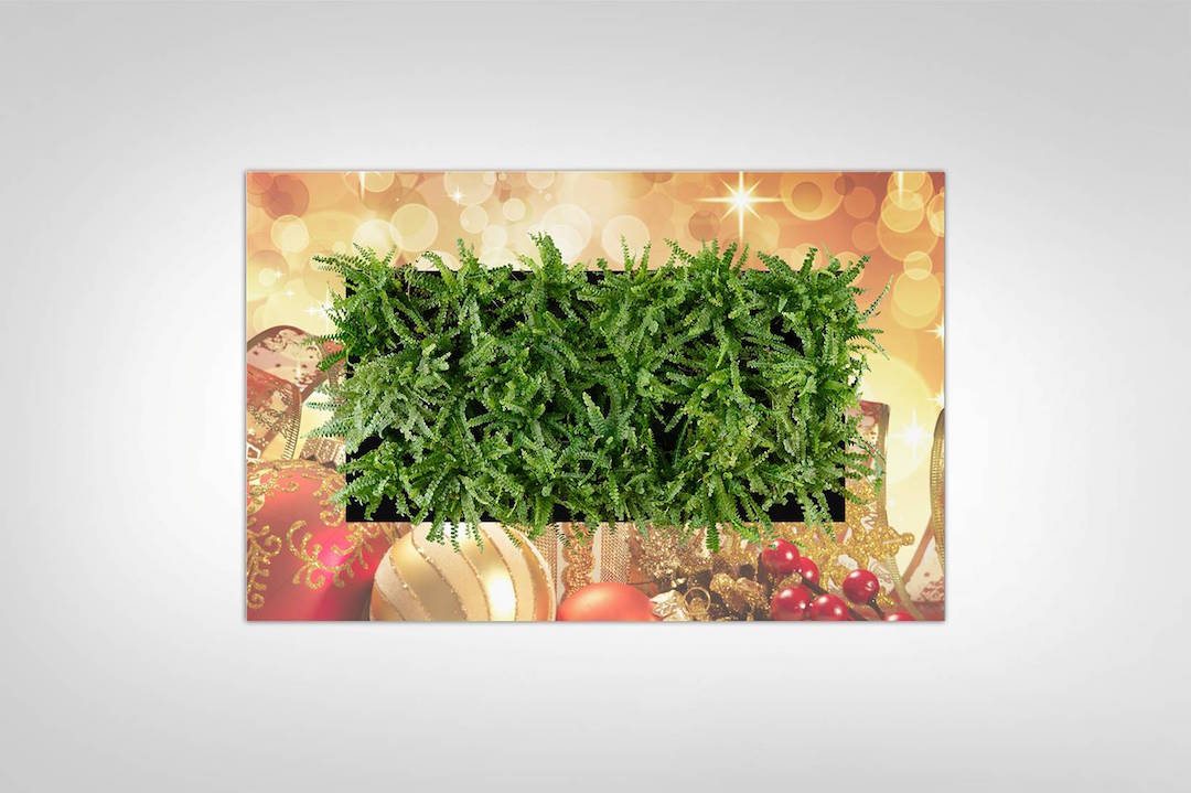Sample living plant picture in a custom holiday frame