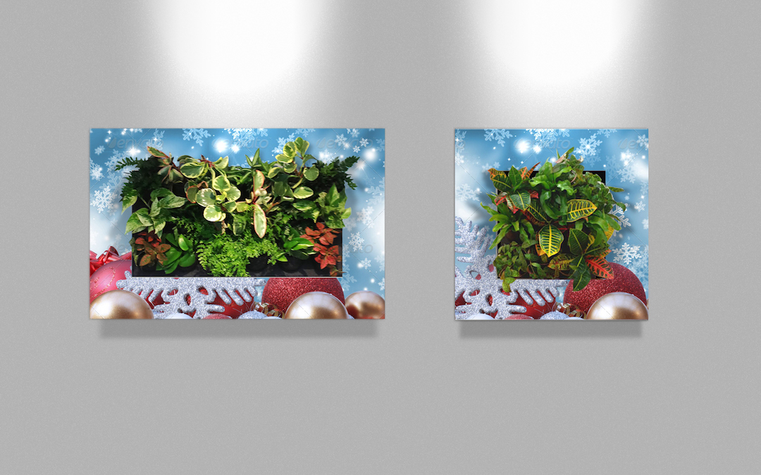 Sample living plant pictures in custom holiday frames
