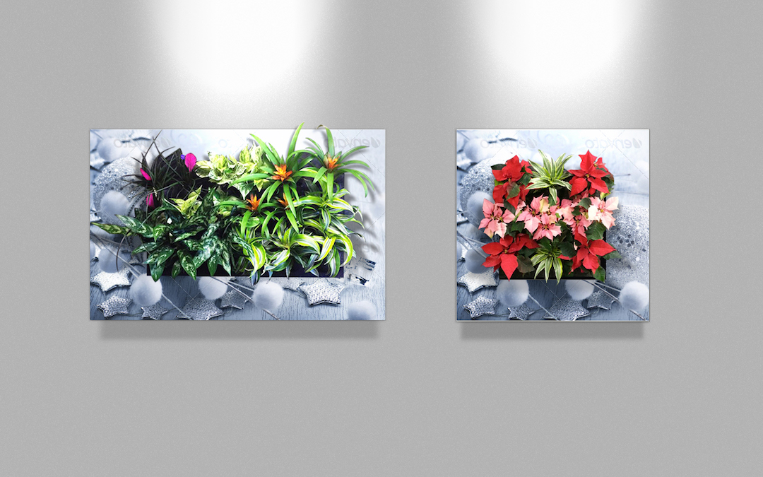 Sample living plant pictures in custom holiday frames