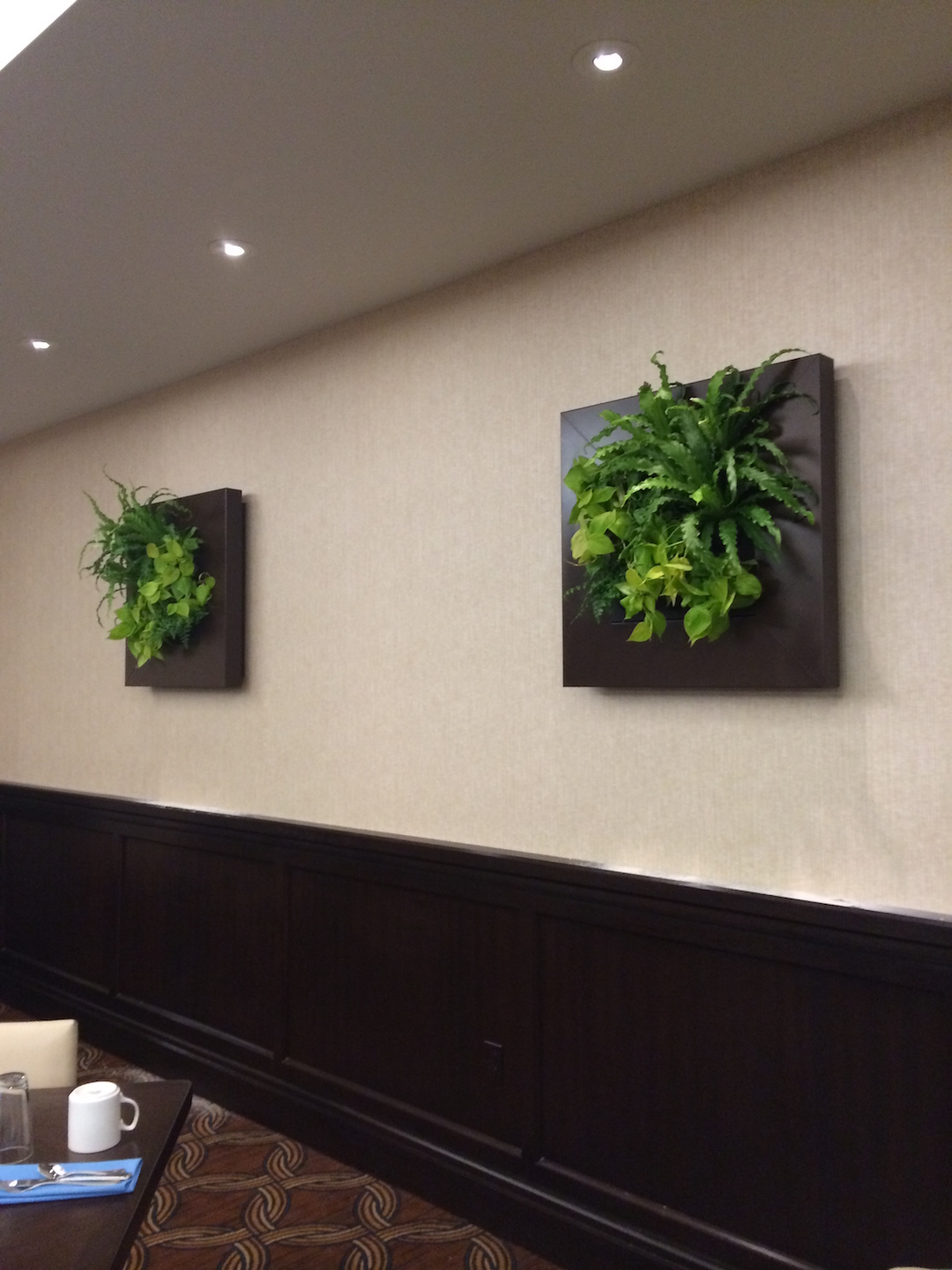 Living plant picture with live green plants installed on walls