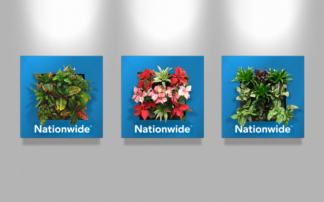 Sample living plant pictures in custom Nationwide frames