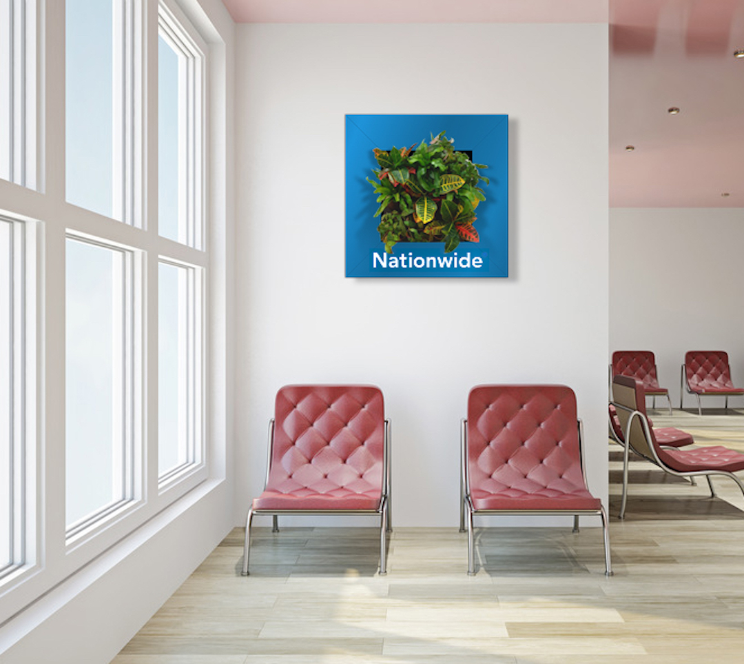 Sample living plant picture in custom Nationwide frame hanging on a wall
