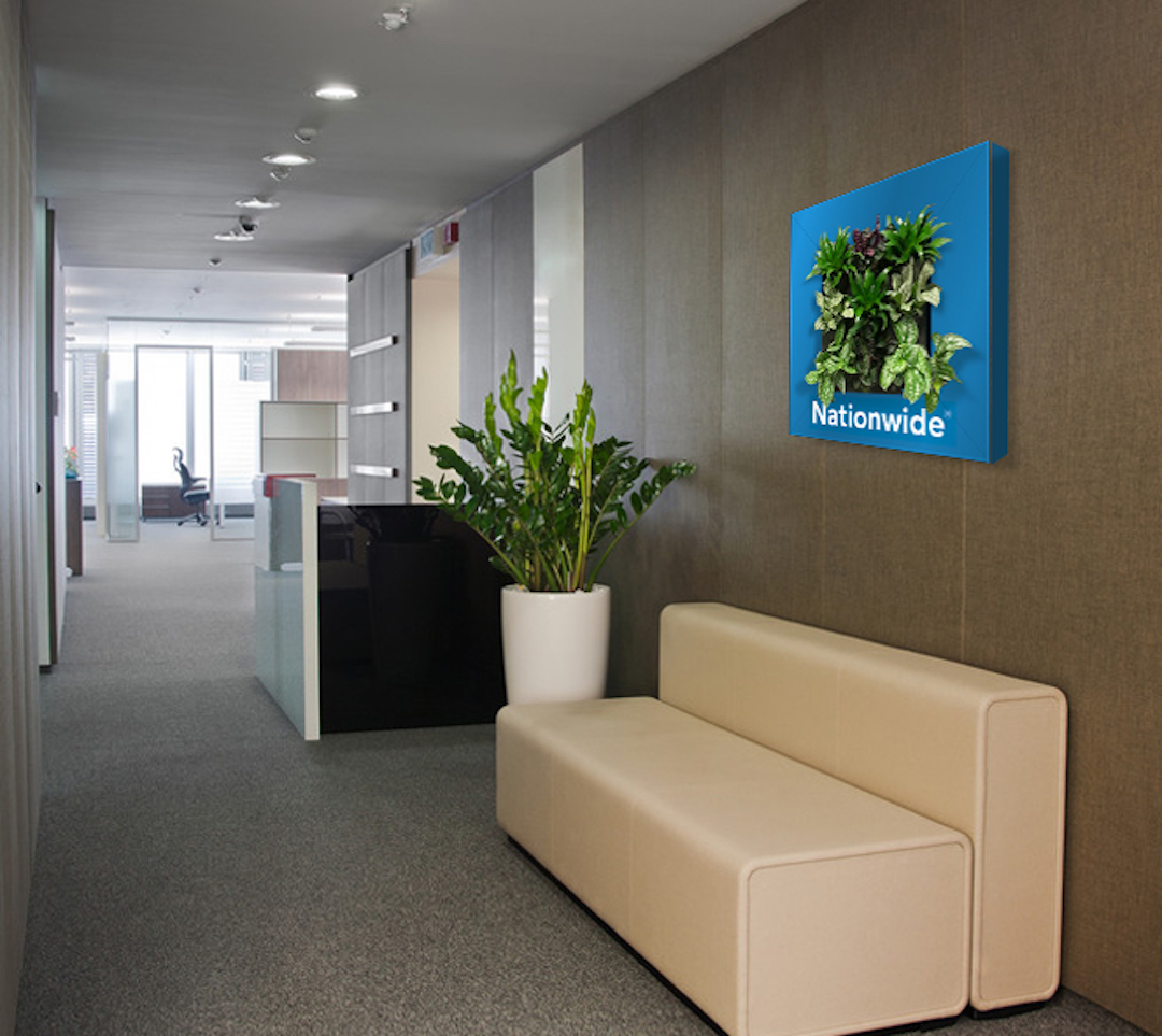 Living plant picture installed in custom Nationwide frame hanging on a wall at a corporate office