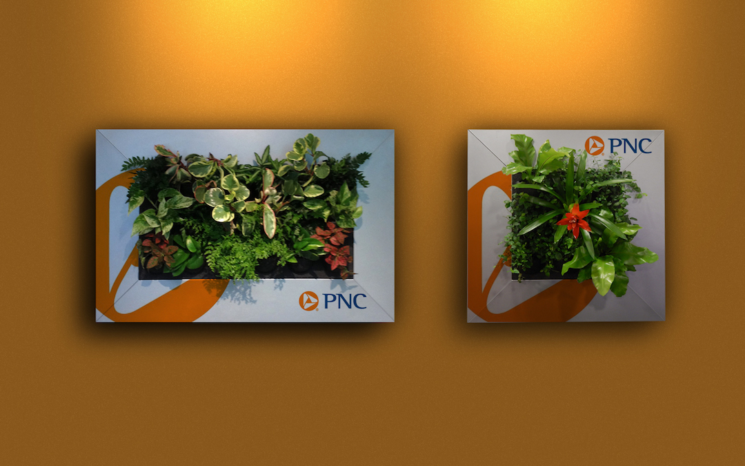 Living plant pictures in custom PNC frames