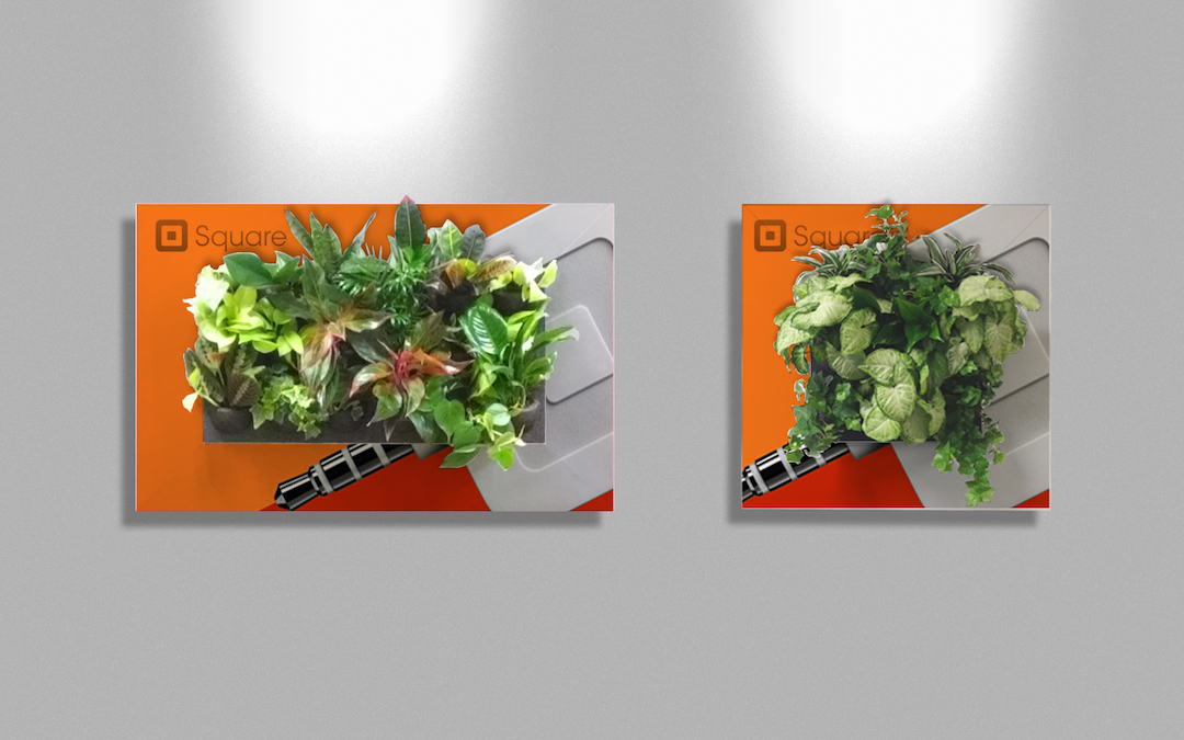 Living plant pictures in custom Square frames