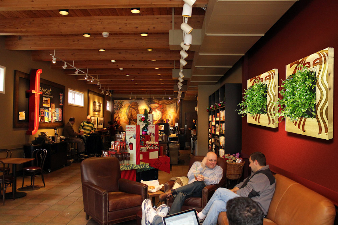 Living plant pictures with live plants in custom Starbucks frames installed in a Starbucks location