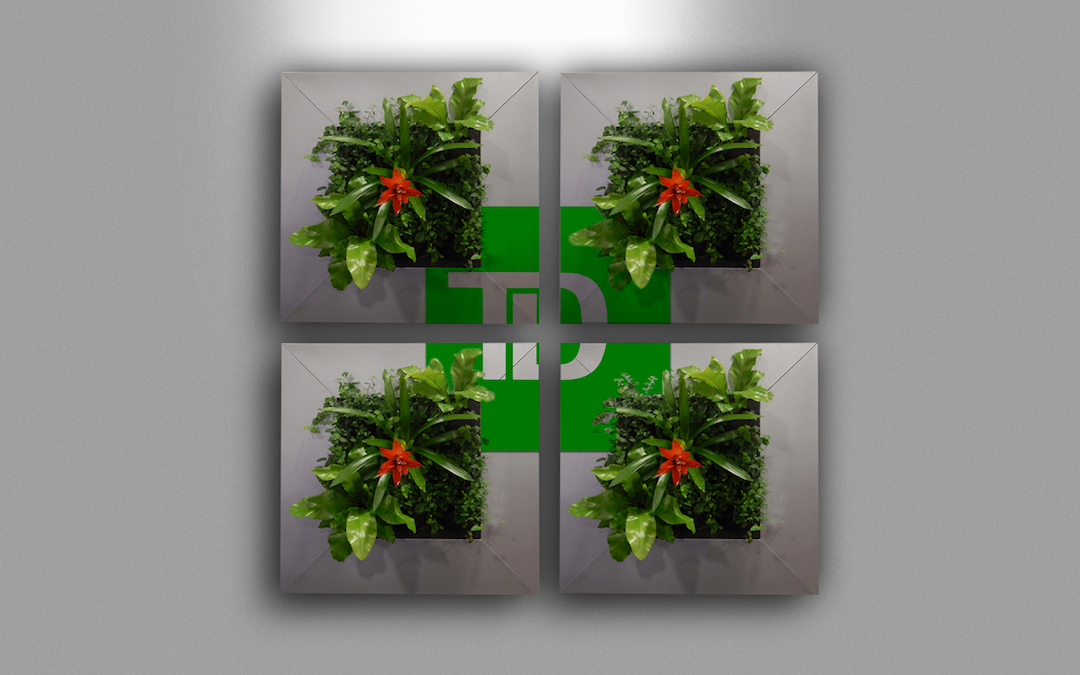 Living plant pictures with live plants in custom TD Bank frames
