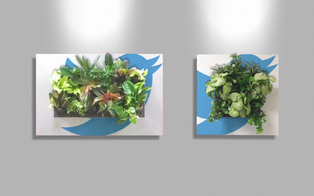 Living plant pictures with live plants in a custom twitter frame