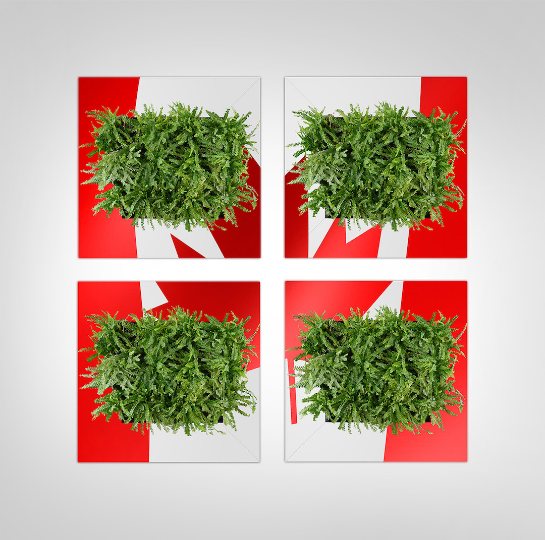 Sample living plant pictures in custom Canadian flag frames