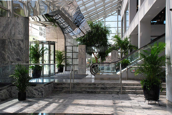 Large plants indoors at a shopping mall