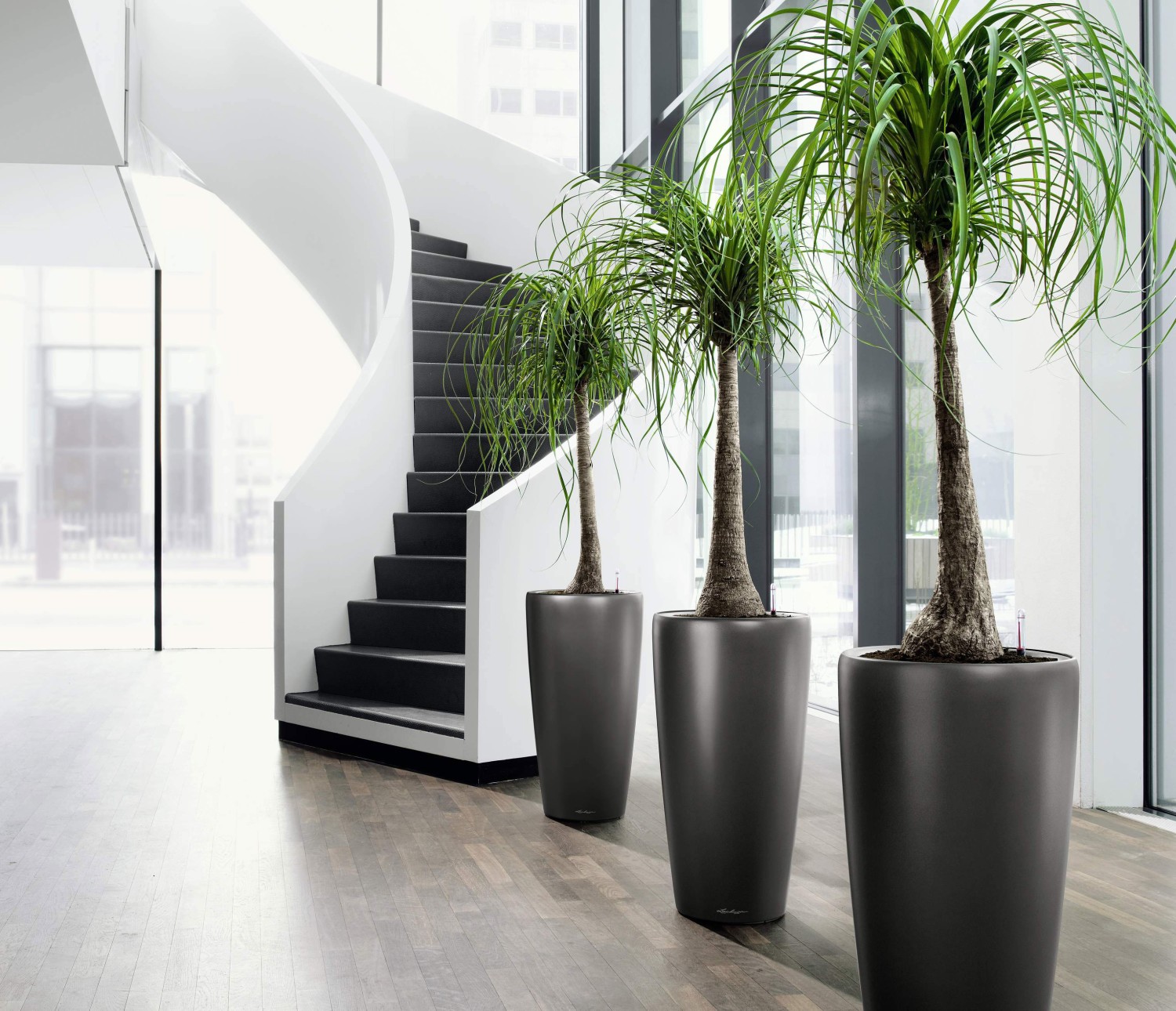 Potted plants for residential plant rental displayed beside a staircase
