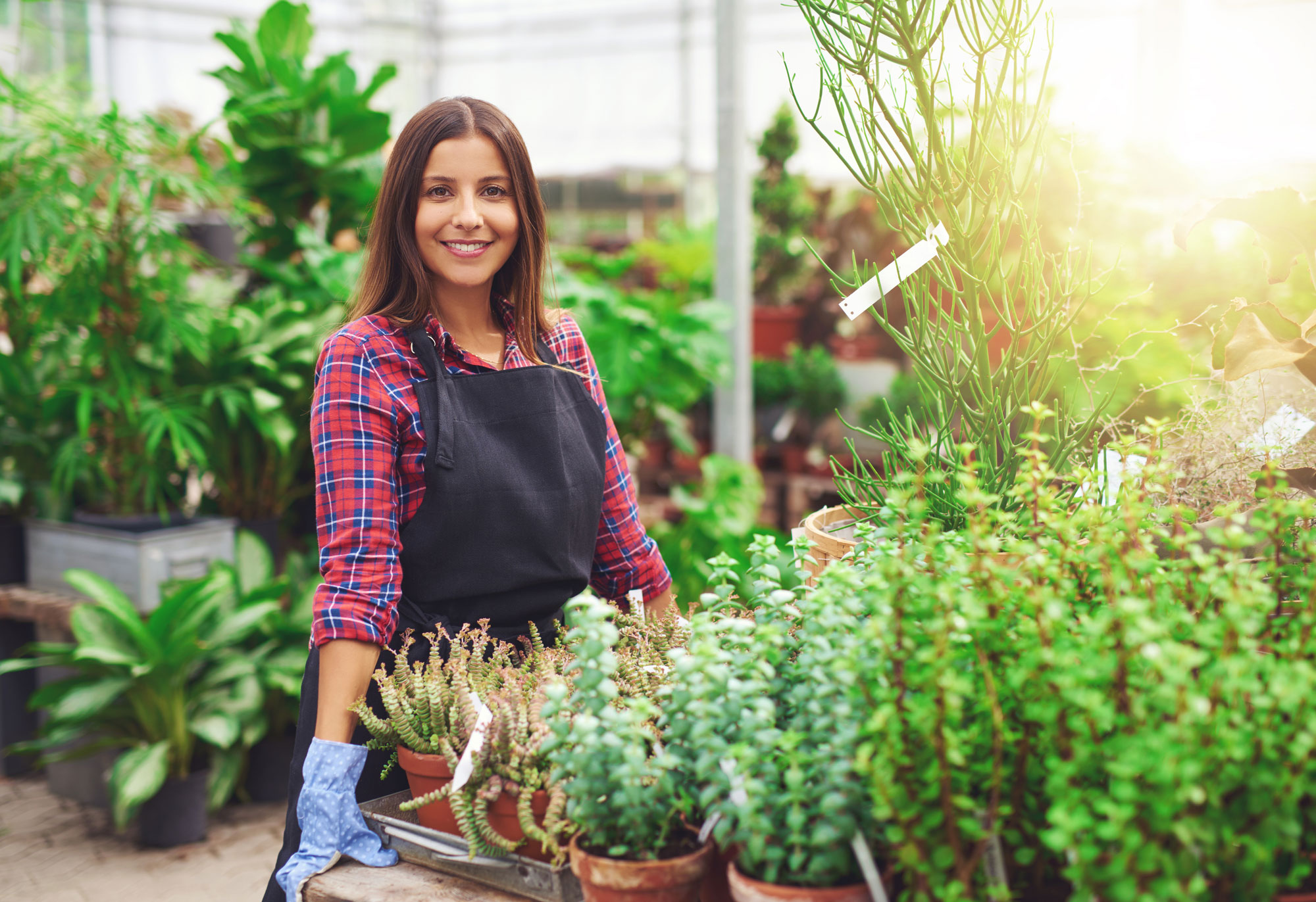 Woman standing in front of a table of potted plants