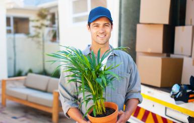 Smiling man carrying flower pot in front of a moving van