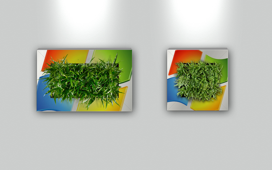 Sample living plant pictures in custom Microsoft frames
