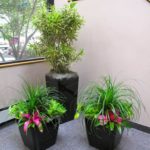 Potted plants inside a residential space, by Beneva Plantscapes Sarasota FL