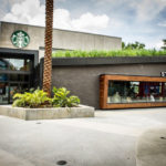 Landscaping outside of a Starbucks restaurant