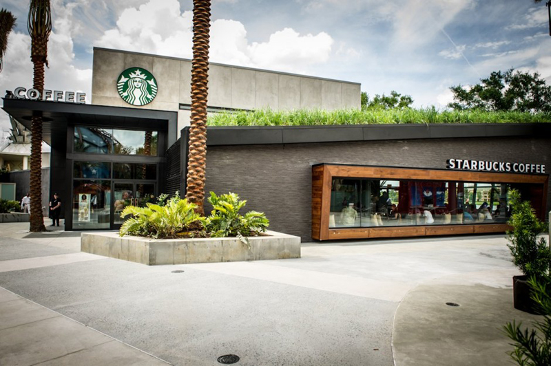 Landscaping outside of a Starbucks restaurant