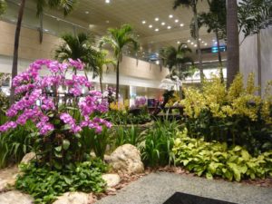 Interior landscaping with tropical plants by Beneva Plantscapes